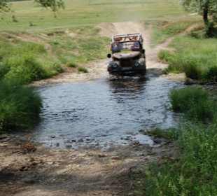Jeep Safari