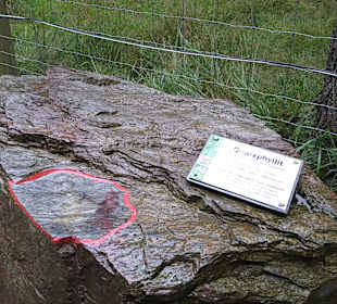 Wild Park Waldhaus Mehlmeisel