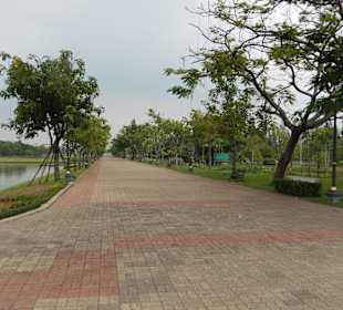 Viele Wege führen durch den Park