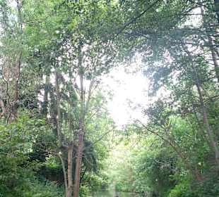 Großer Spreewaldhafen Lübbenau