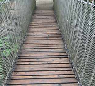 Forellenbächle Glacis Park