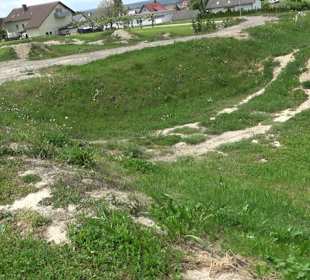 Pumptrack Oberiflingen
