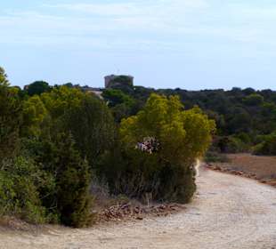 Fast beim Catel Punta de n'Amer 