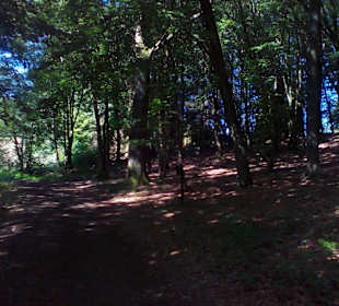 Natur und Vogellehrpfad Längwieser Wald Dittweiler