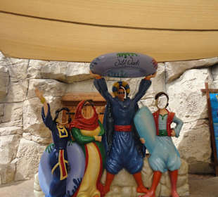 Wild Wadi Water Park