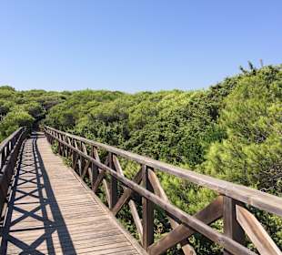 Strand Playa/Platja de Muro