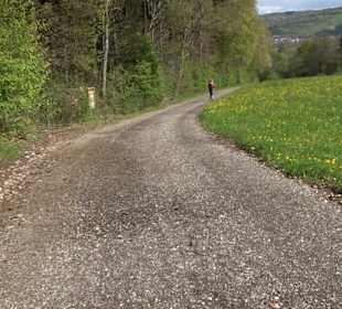 Naturerlebnisweg des NABU-Metzingen