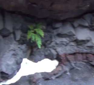 Fundacion Cesar Manrique