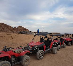 Buggy Tour