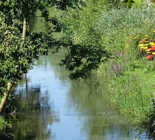 Gartenschau Eppingen