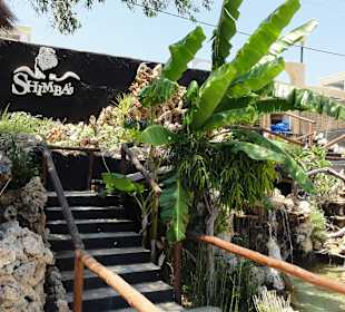 Shimba bar Kiotari