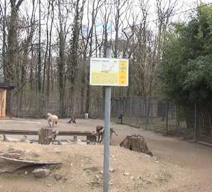 Wildpark Reuschenberg