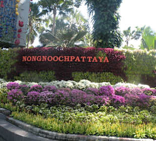 Nong Nooch Garden