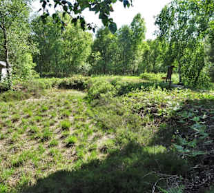 Eindrücke vom Moorpfad in Tarmstedt