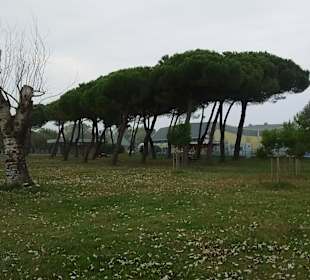 Strandpromenade Nazario Sauro