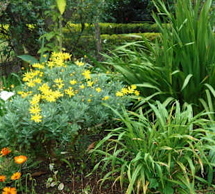 Palheiro Gardens