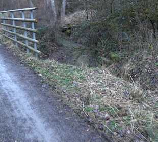 Ochsenweiher Rundweg