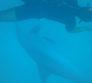 Er spielt mit der Kamera