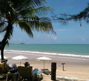 Relaxen unter Palmen 