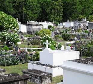 Rundgang über den alten Friedhof am Meer