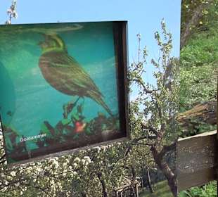 Naturerlebnisweg des NABU-Metzingen