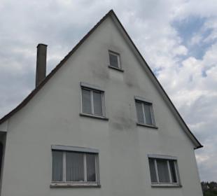 Ochsen und die Schweizerstaße