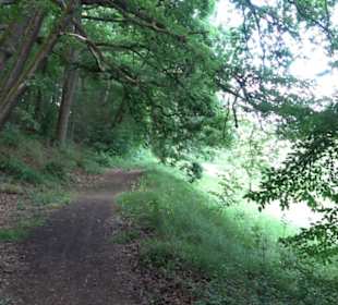 Wanderweg - Alter Steinbruch Pfaffenberg Runde