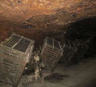  Cave des Producteurs de Montlouis