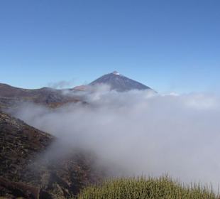 Auf der Fahrt zum Teide