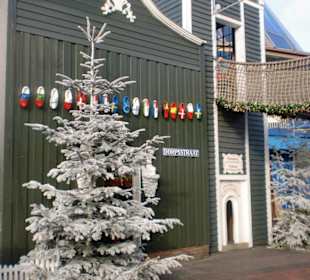 Themenbereich Holland