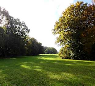Herbstspaziergang durch den Bürgerpark Bremen