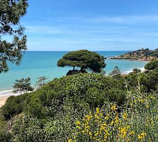 Wandern Albufeira