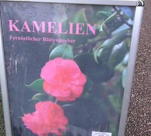 Flora und Botanischer Garten