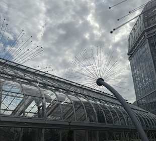 Botanischer Garten Washington 