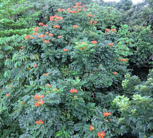 Ein schöner Anblick