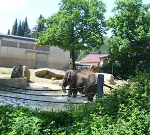 Elefanten-Anlage