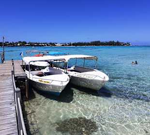 Glasbodenboot Tour Blue Bay