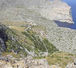 Ausblick auf die Serpentine