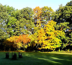 Herbstspaziergang durch den Schlosspark