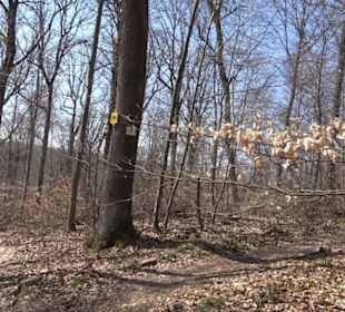 Geologischer Lehrpfad Kirnbachtal