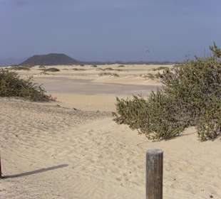 Naturpark Dünen von Corralejo