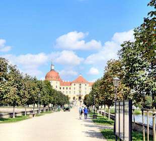 Schloss Moritzburg