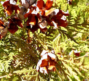 Landschaft auf der Rundreise 