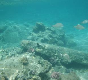 Im Wasser vorm Palace