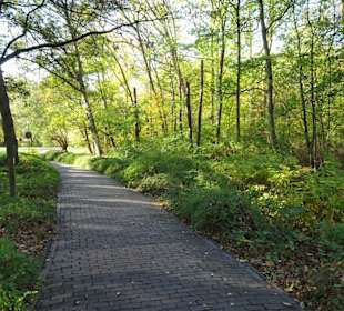 Spaziergang durch den Kurpark Wilhelmshaven