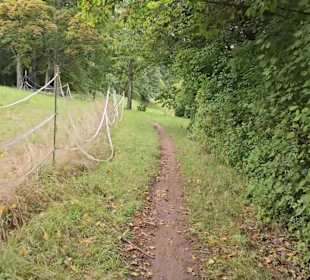 Premiumwanderweg „hochgehtürmt"