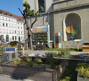 Klimawandel-Garten 