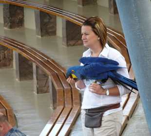 Kleine Show vor Beginn der Delfiinshow