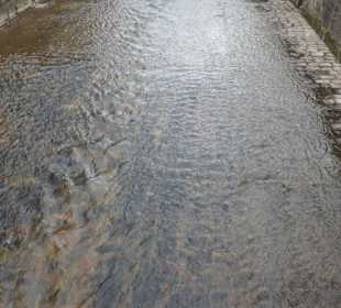 Bei der Kaiserallee an der Oos