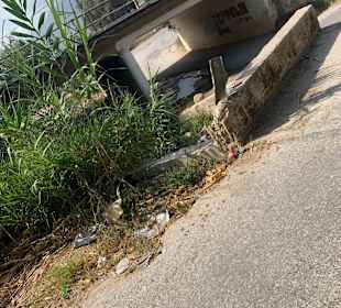 Wandern Georgioupolis